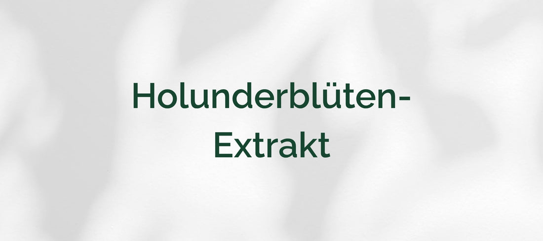 Holunderblüten-Extrakt