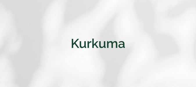 Kurkuma (Curcuma longa)
