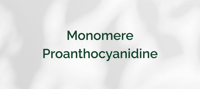 Monomere Proanthocyanidine (MPC)
