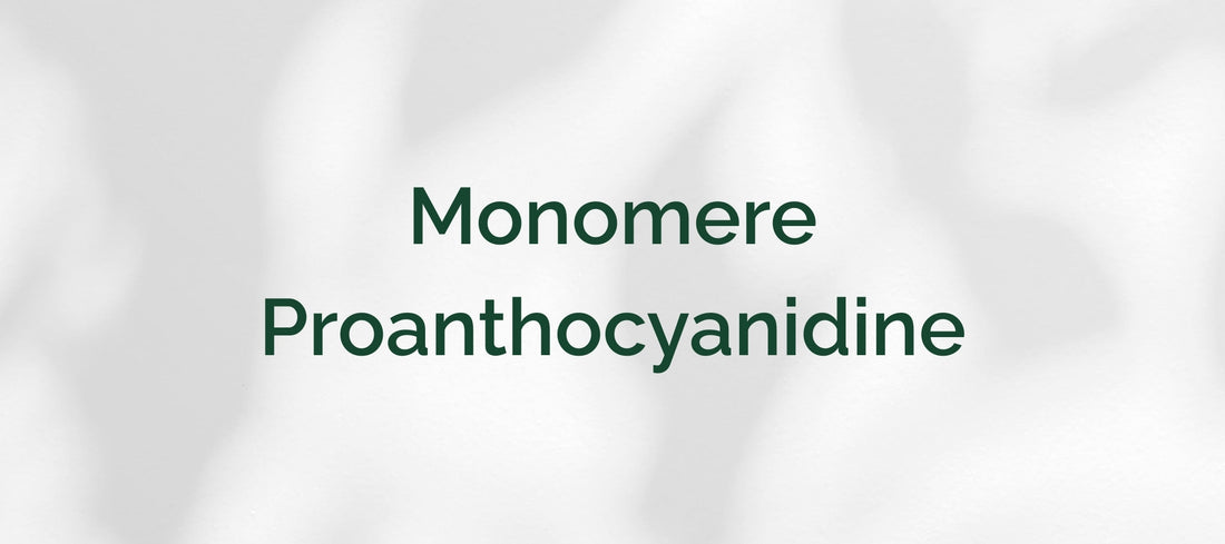 Monomere Proanthocyanidine (MPC)