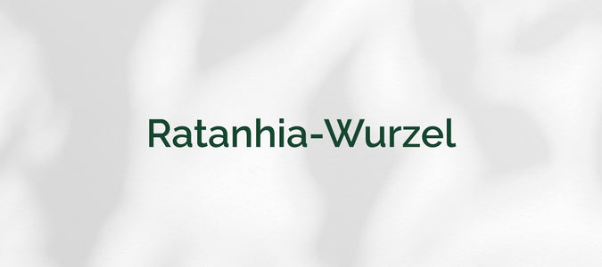 Ratanhia-Wurzel