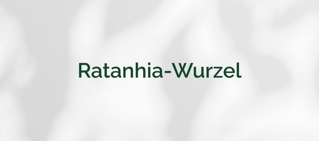 Ratanhia-Wurzel