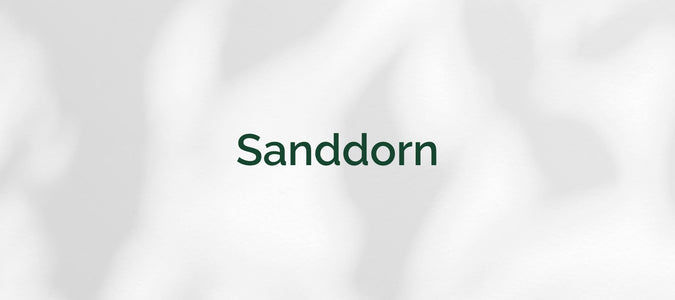 Sanddorn (Hippophae rhamnoides)
