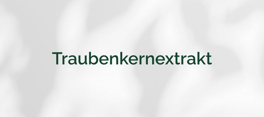 Traubenkernextrakt (> 30 % MPC)