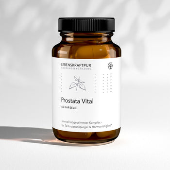 Prostata Vital Kapseln