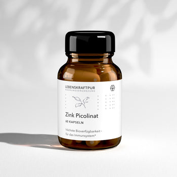 Zink Picolinat Kapseln