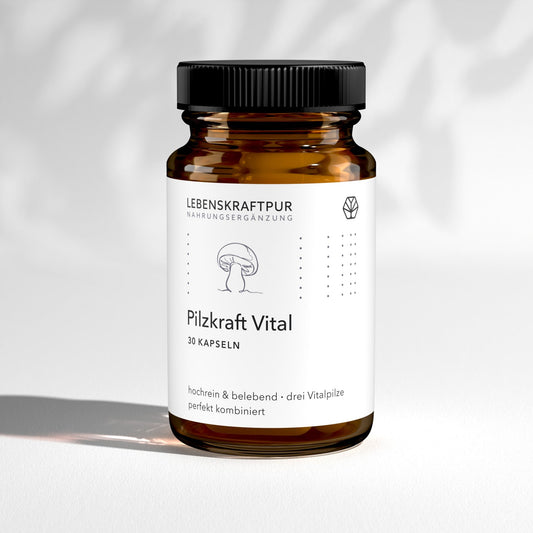 Pilzkraft Vital Kapseln