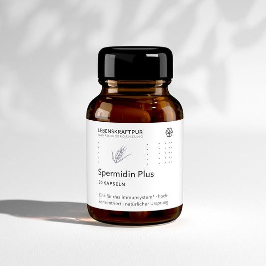 Spermidin Plus Kapseln