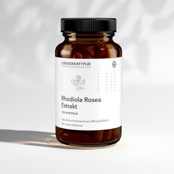 Rhodiola Rosea Extrakt Kapseln