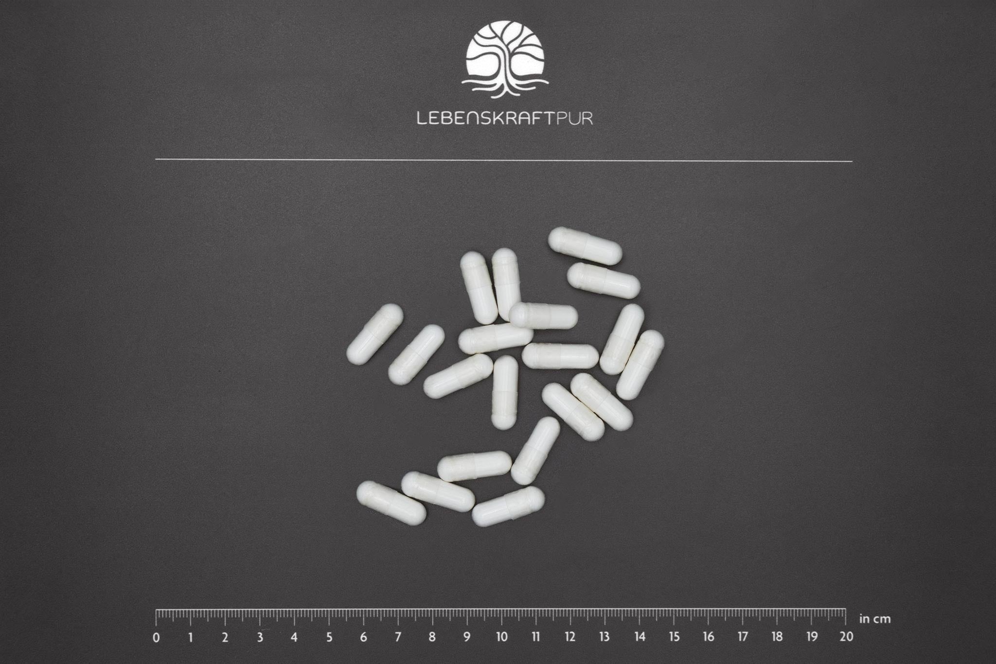 Magtein® Magnesium L-Threonat Kapseln