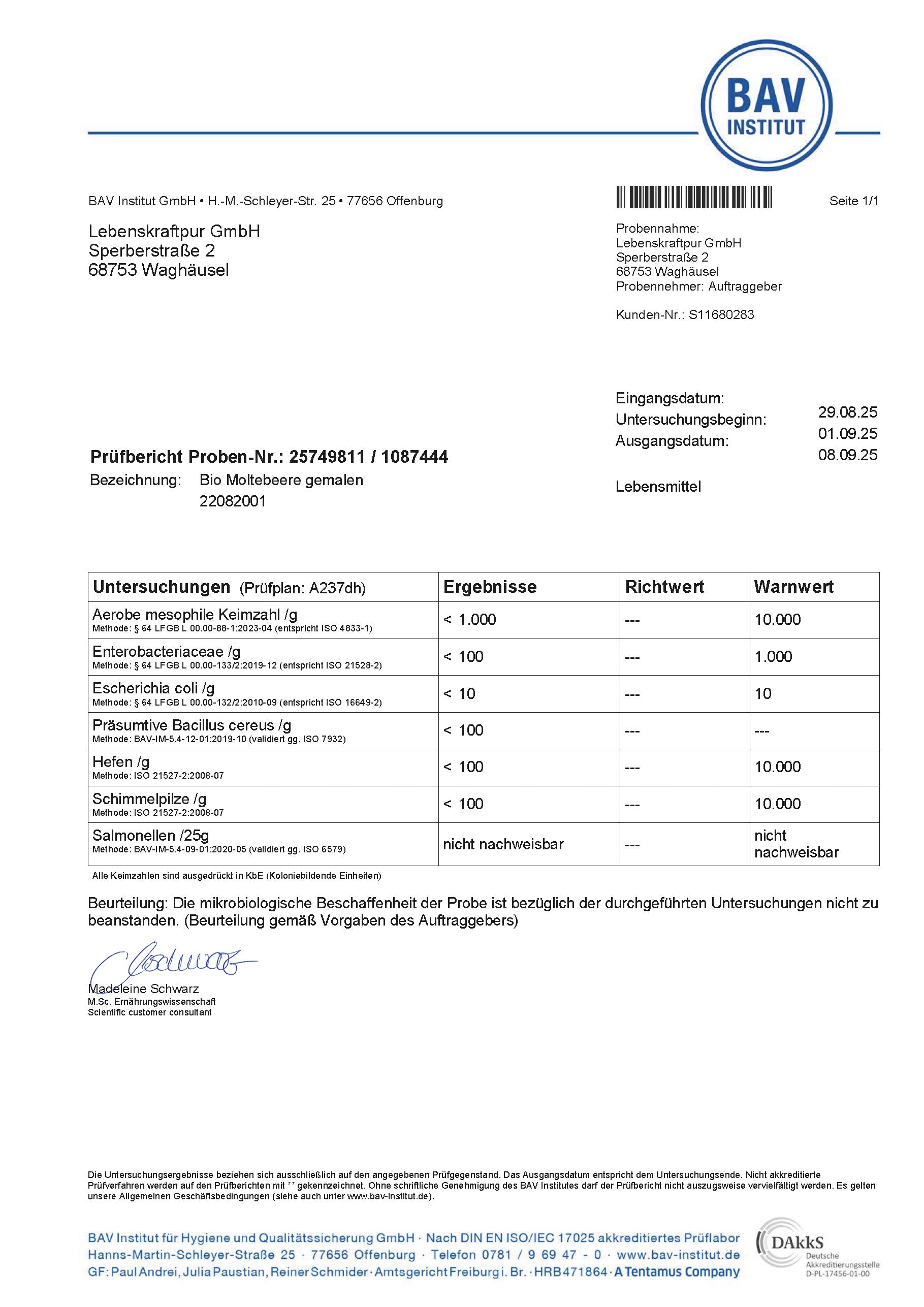 Bio Wilde Moltebeere Pulver
