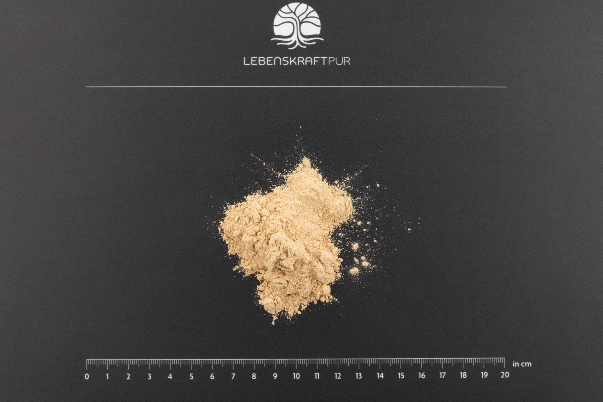 Produktbild Bio Maca Pulver