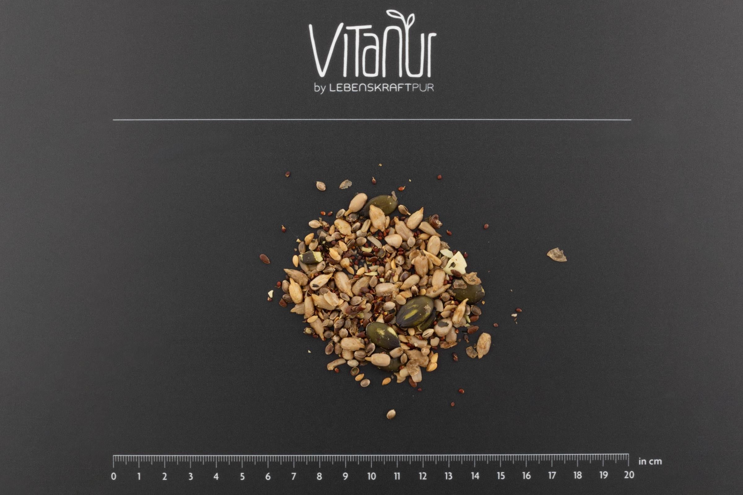 Produktbild Bio Salatkernmix Gekeimt
