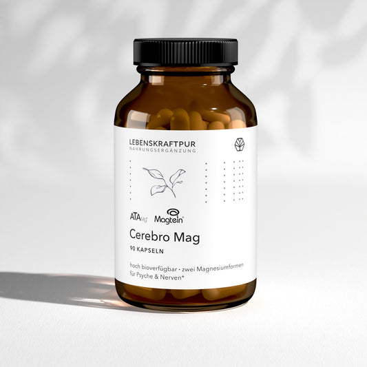 Cerebro Mag Kapseln