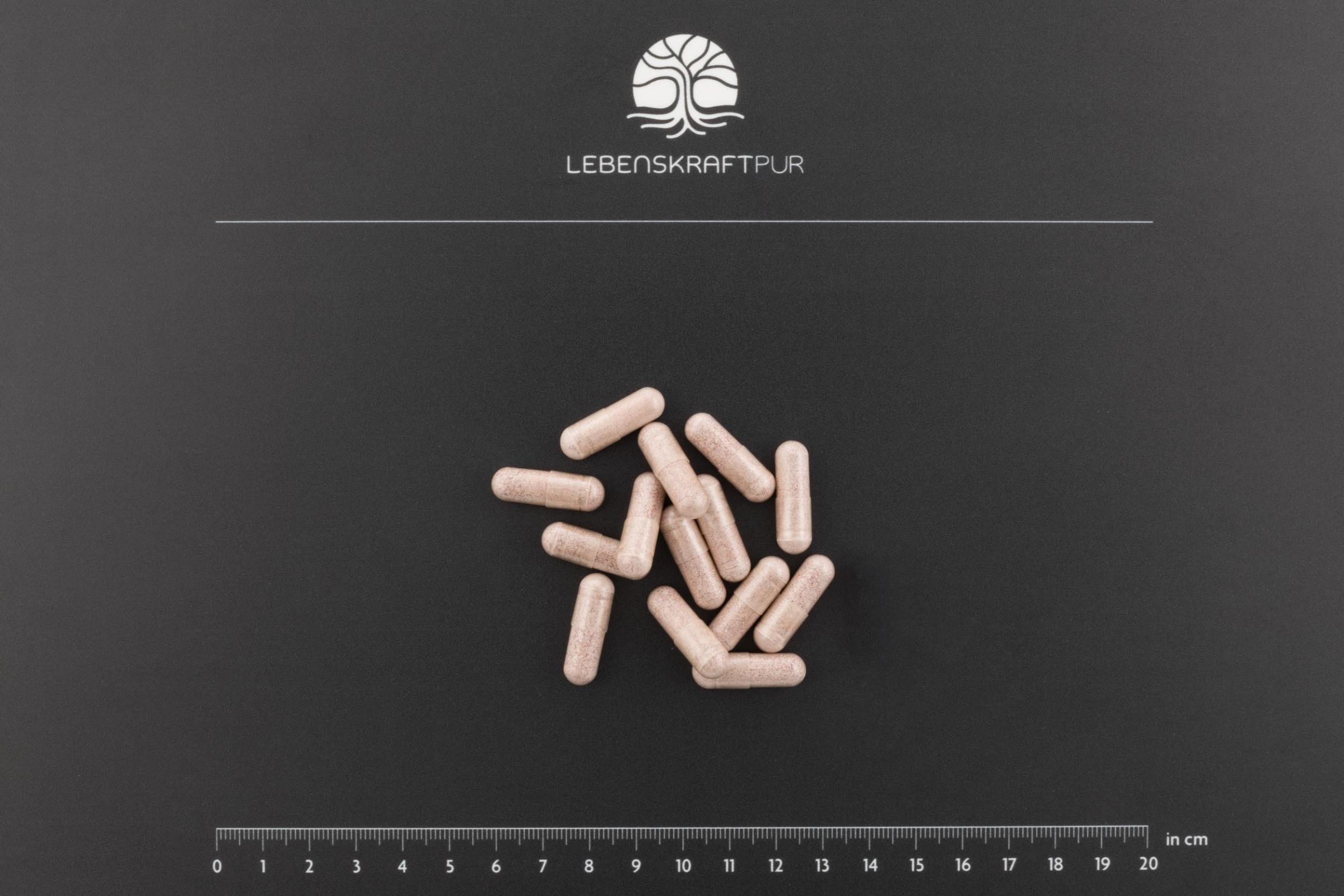 Produktbild Cerebro Vital Kapseln