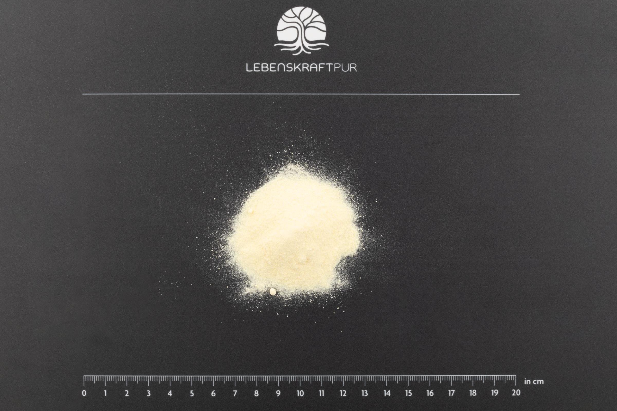 Produktbild L-Arginin Plus Pulver