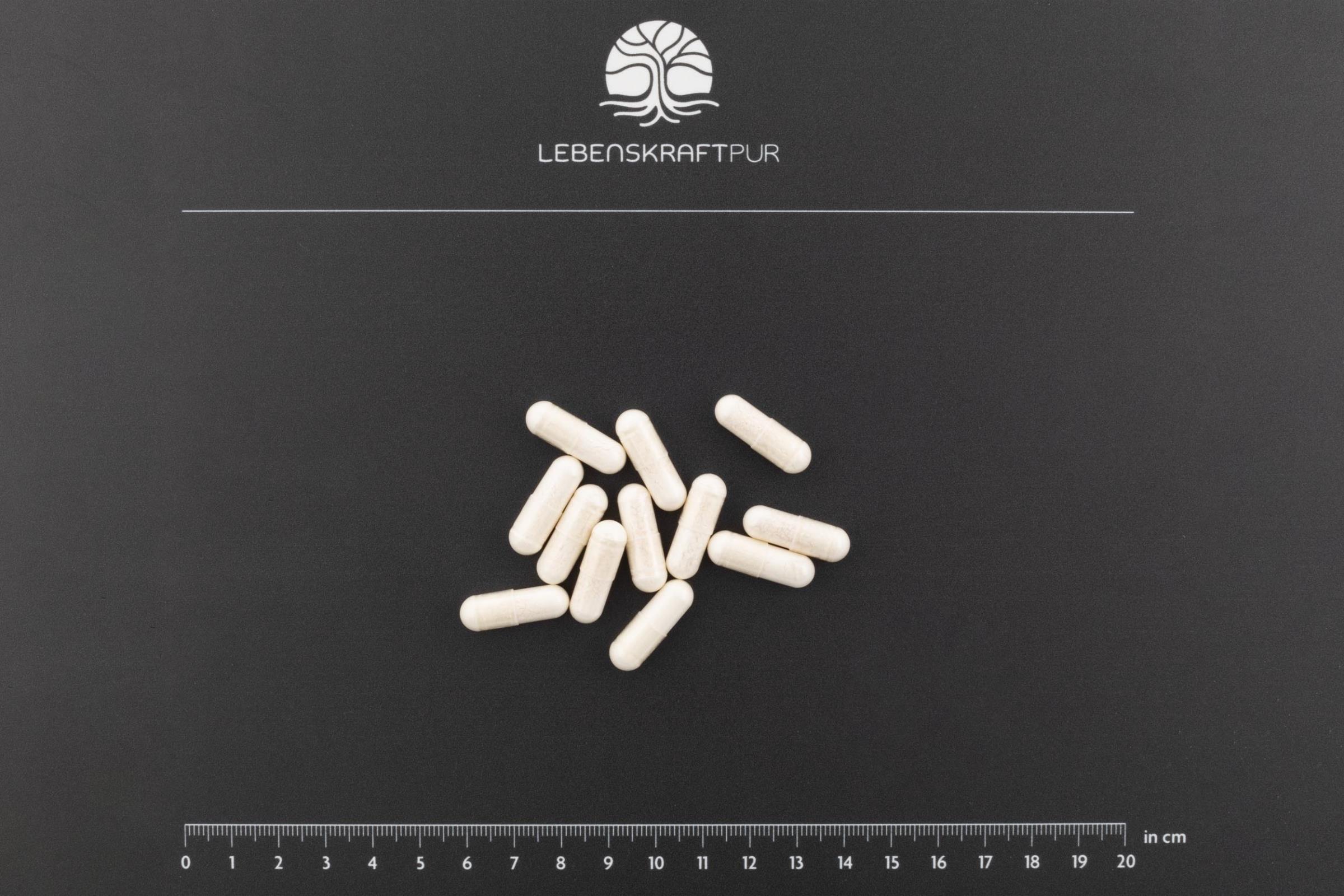 Produktbild L-Tryptophan Kapseln