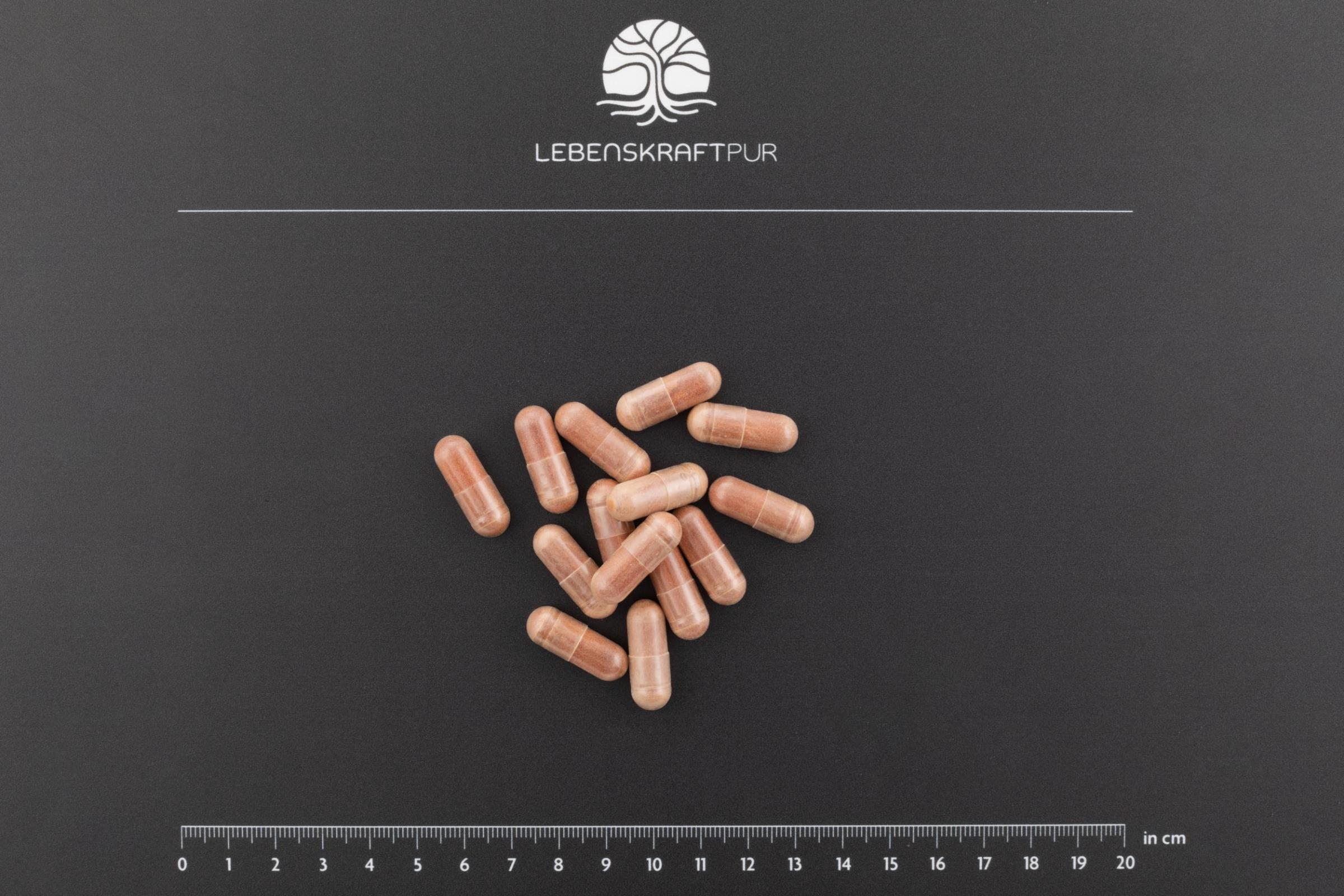 Produktbild MPC Traubenkernextrakt Kapseln