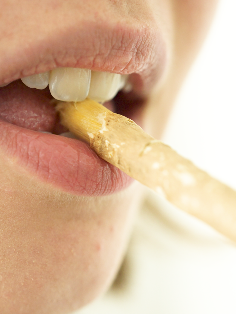 Produktbild Miswak