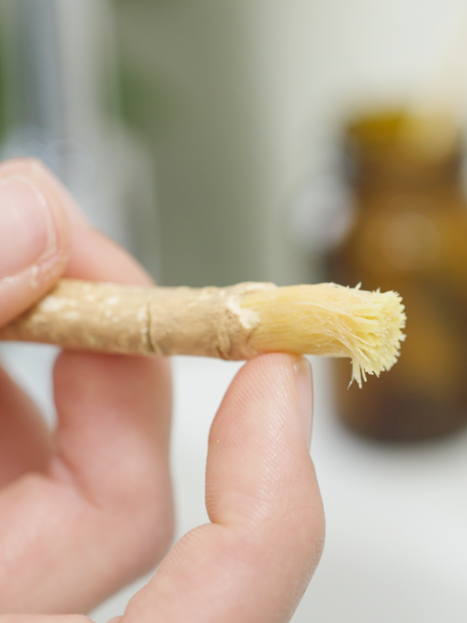 Produktbild Miswak