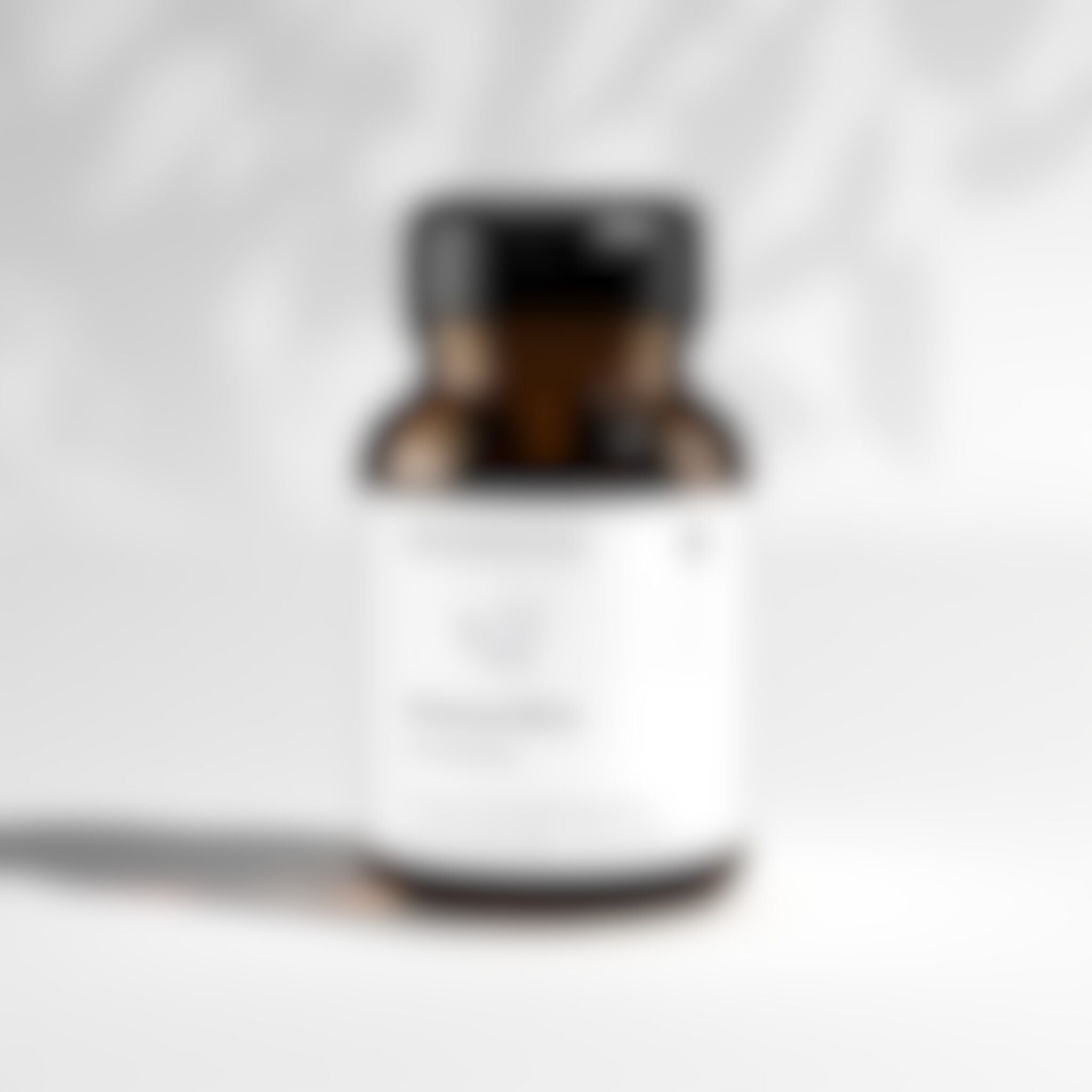 Shilajit Kapseln