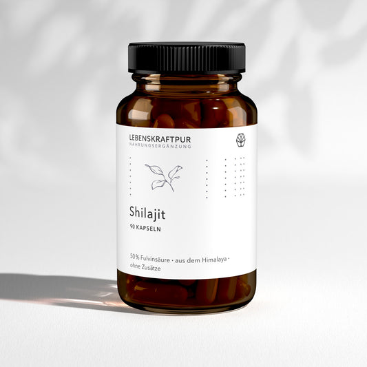 Shilajit Kapseln