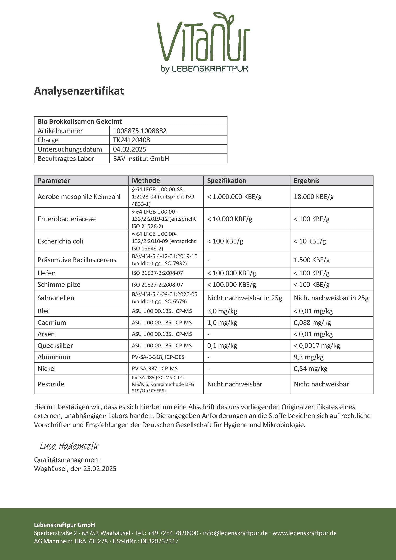 Bio Brokkolisamen Gekeimt